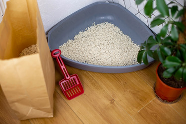 Similar image 21869174