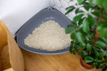 Similar image 21869178