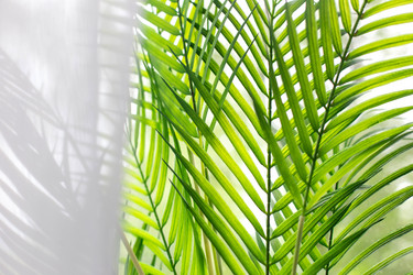 Similar image 21869180