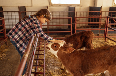 Similar image 21875099