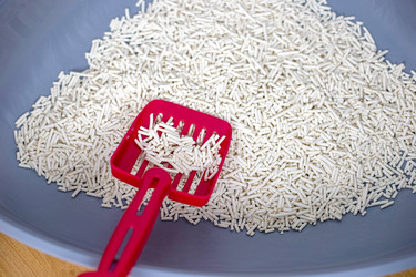 Similar image 21869184