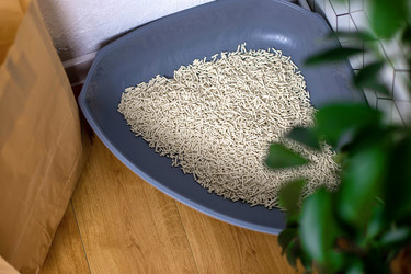 Similar image 21869270