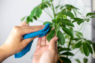 Similar image 21869275