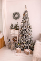 Similar image 21869285