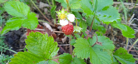 Similar image 21872324