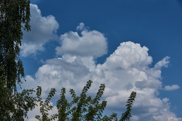 Similar image 21868502