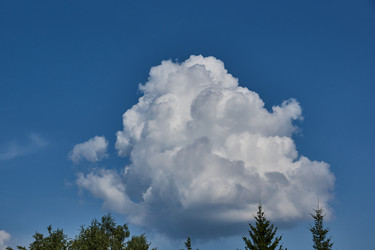 Similar image 21868505