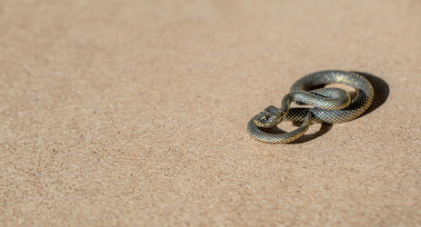 Similar image 21868405