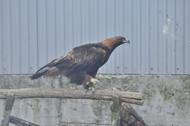 Similar image 21869294