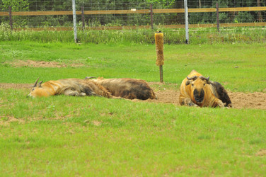 Similar image 21869295