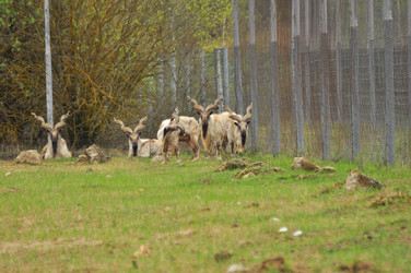 Similar image 21869296