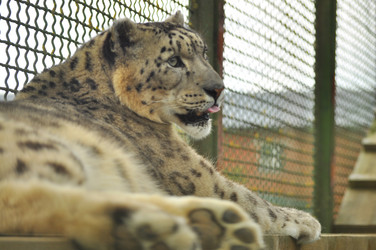 Similar image 21869297