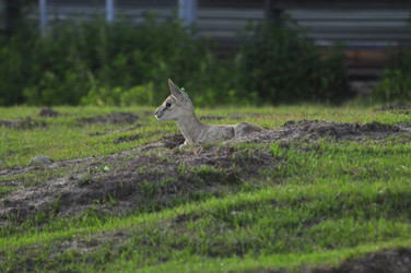 Similar image 21869298