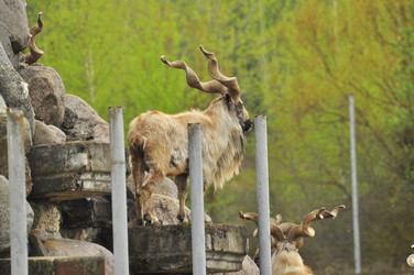 Similar image 21869300