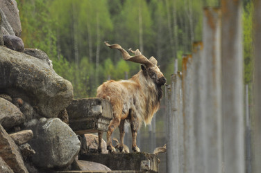 Similar image 21869302