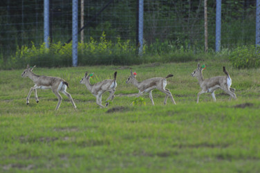 Similar image 21869303