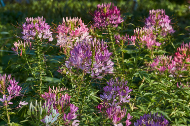 Similar image 21868506