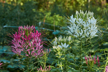 Similar image 21868508