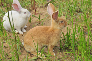 Similar image 21871849