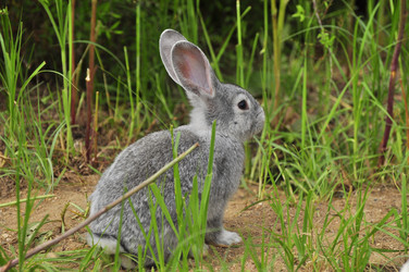 Similar image 21871850