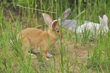 Similar image 21871851