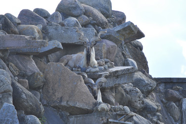 Similar image 21871852