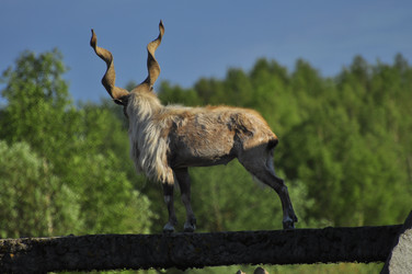 Similar image 21871853