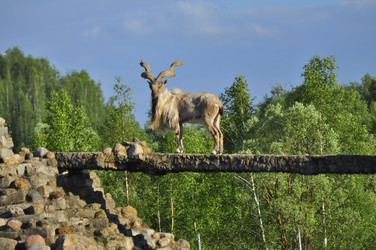 Similar image 21871854