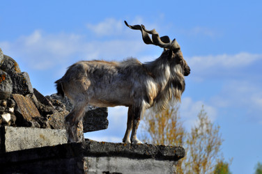 Similar image 21871855