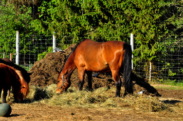 Similar image 21869305