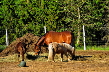 Similar image 21869306