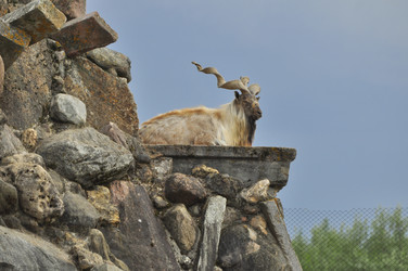 Similar image 21871858