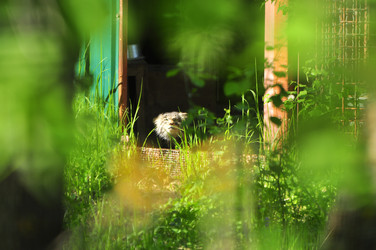 Similar image 21869307