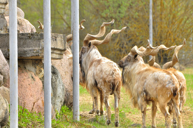 Similar image 21869308