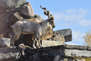 Similar image 21869309