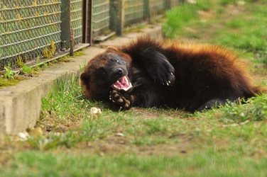 Similar image 21869312