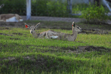 Similar image 21869313