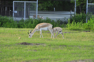 Similar image 21869314