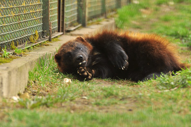 Similar image 21869315