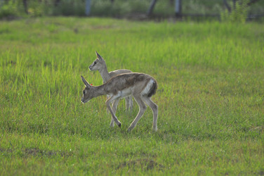 Similar image 21869316