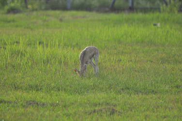 Similar image 21869318