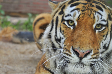 Similar image 21869320