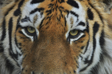 Similar image 21869321