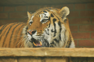 Similar image 21869323