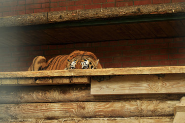 Similar image 21869326