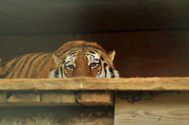 Similar image 21869327