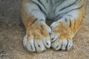 Similar image 21869328