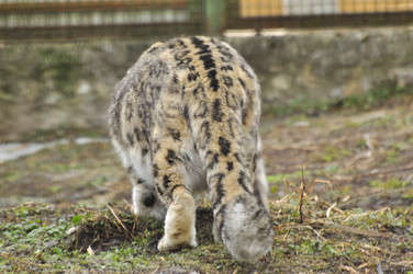 Similar image 21869333