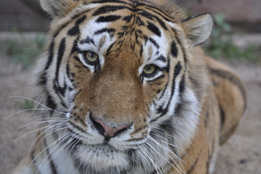 Similar image 21869339