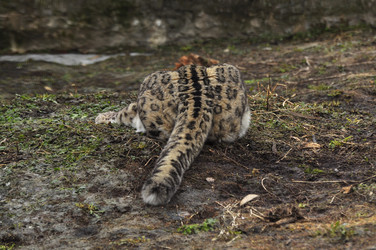 Similar image 21869340